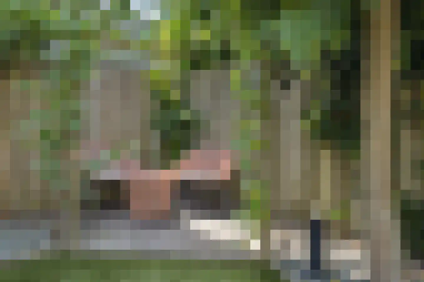 Berenklauw 33 's-Hertogenbosch thumbnail 38