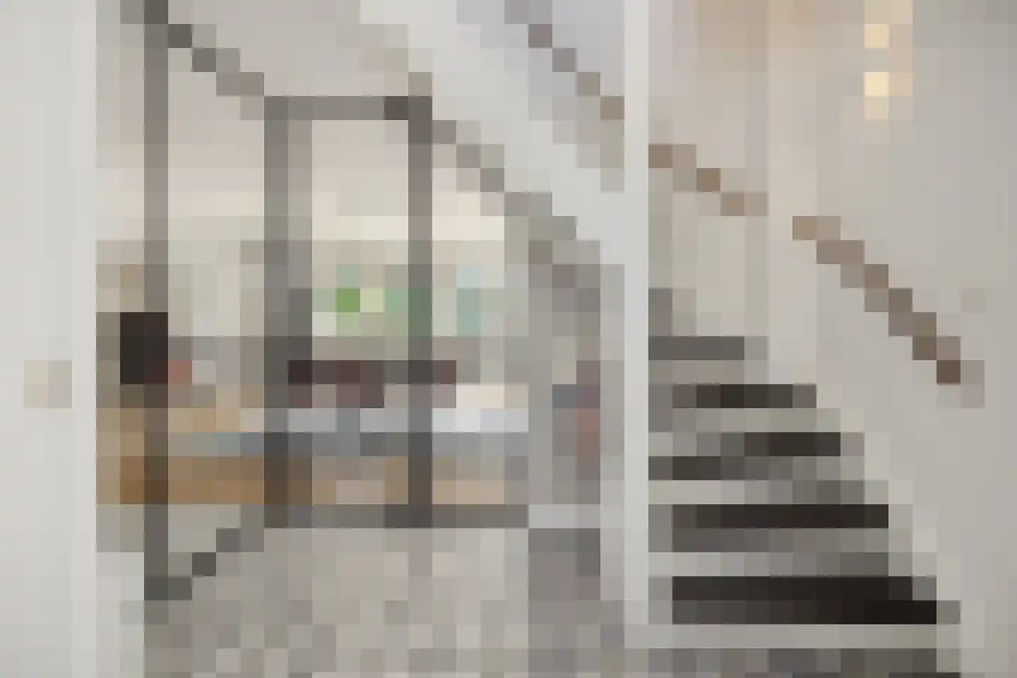 Berenklauw 33 's-Hertogenbosch thumbnail 4