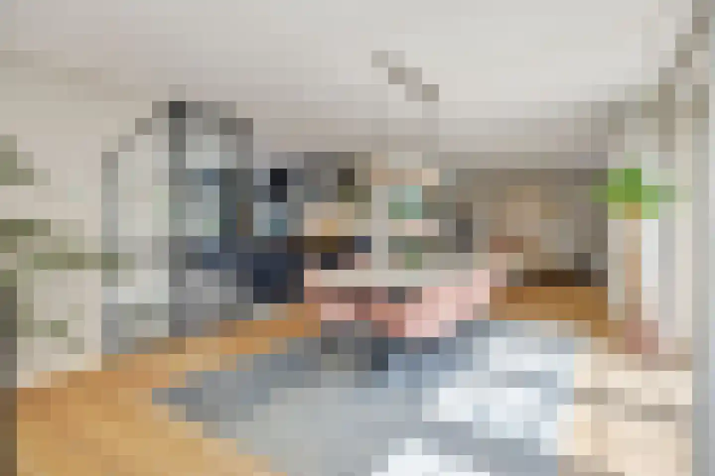 Berenklauw 33 's-Hertogenbosch thumbnail 5