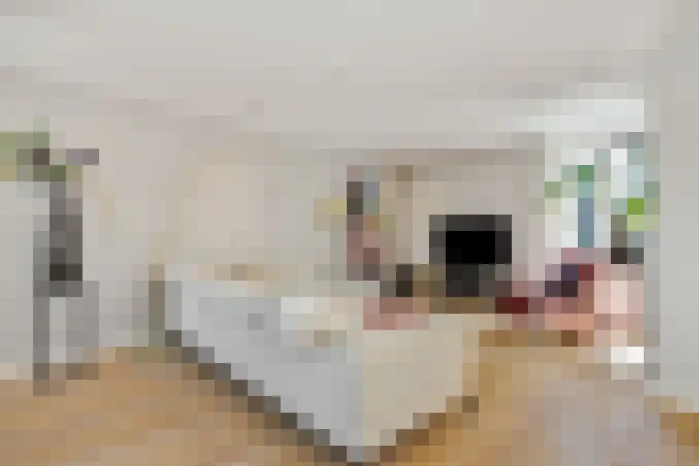 Berenklauw 33 's-Hertogenbosch thumbnail 7