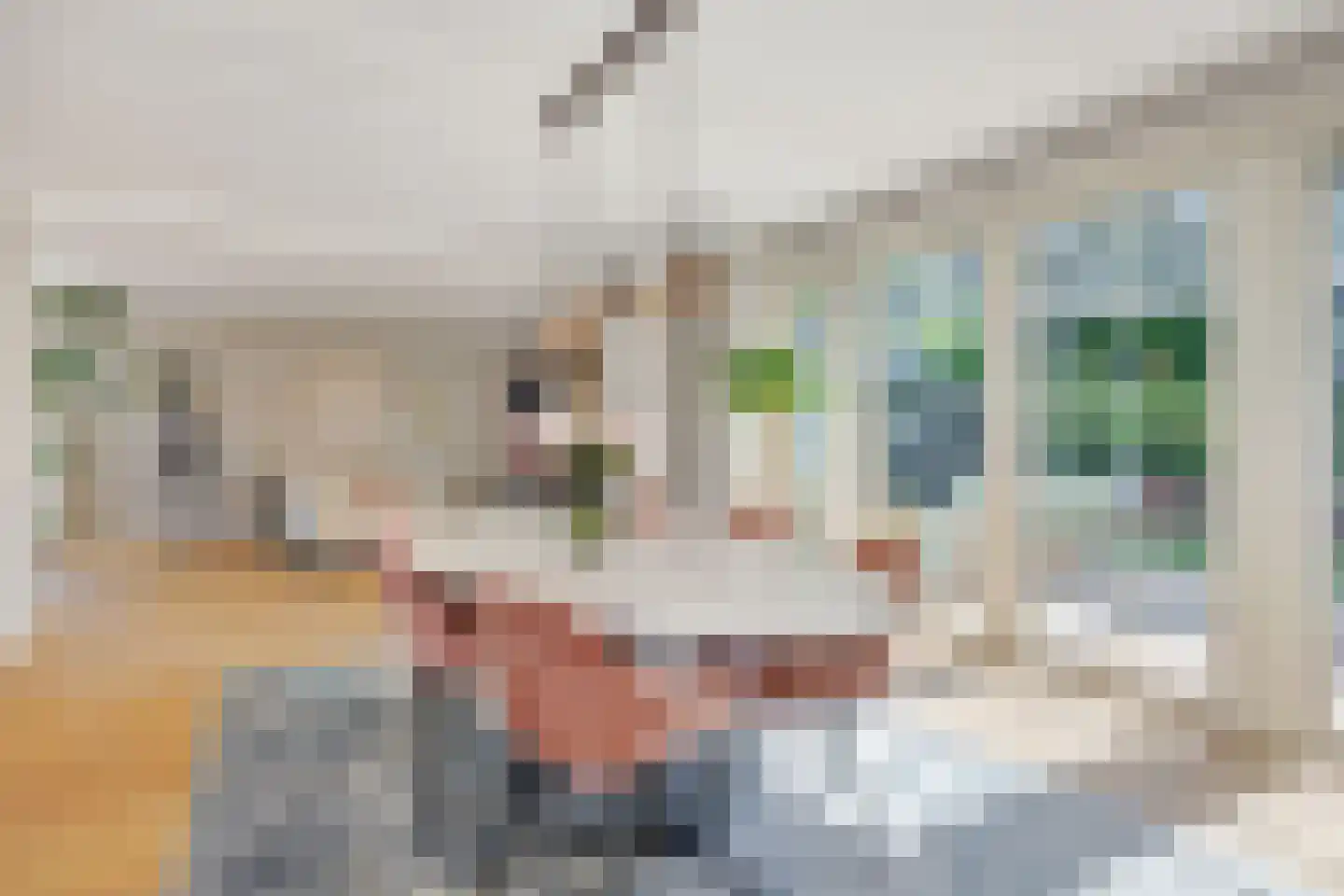Berenklauw 33 's-Hertogenbosch thumbnail 8
