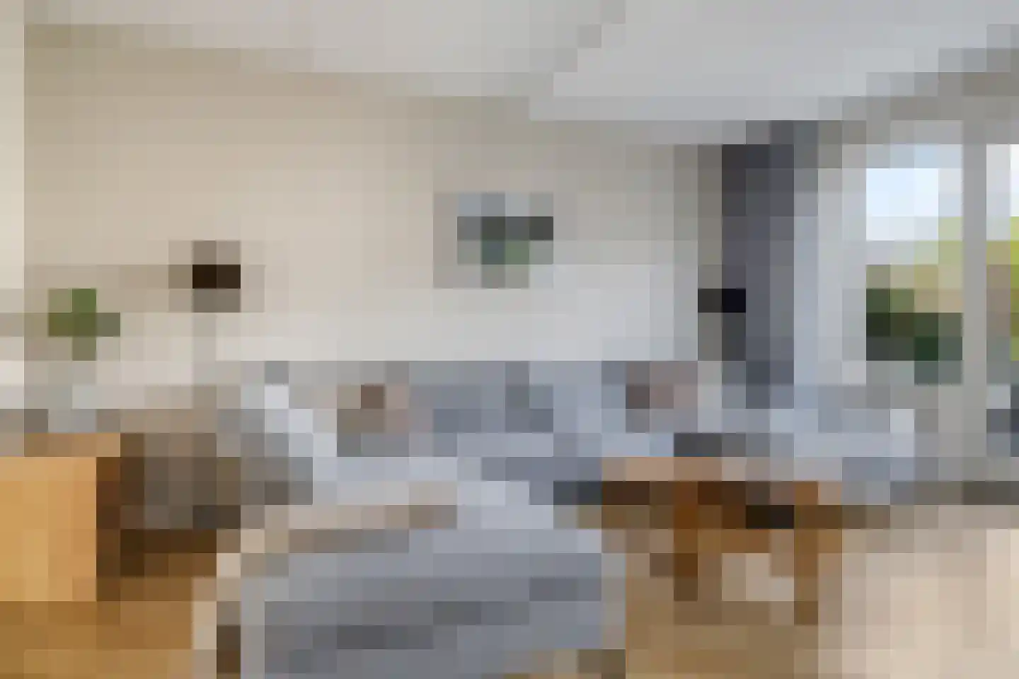 Berenklauw 42 Driel thumbnail 20