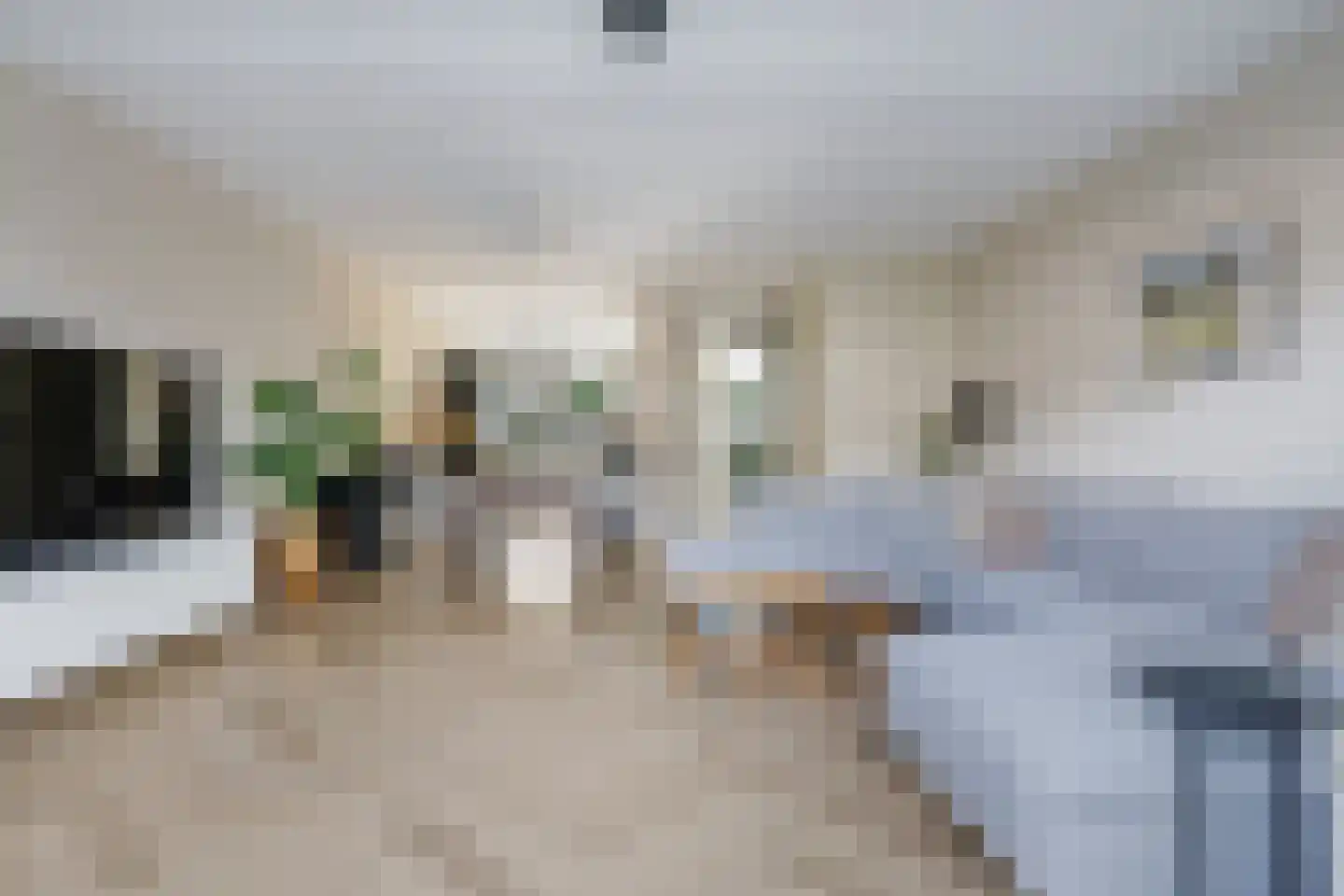 Berenklauw 42 Driel thumbnail 23