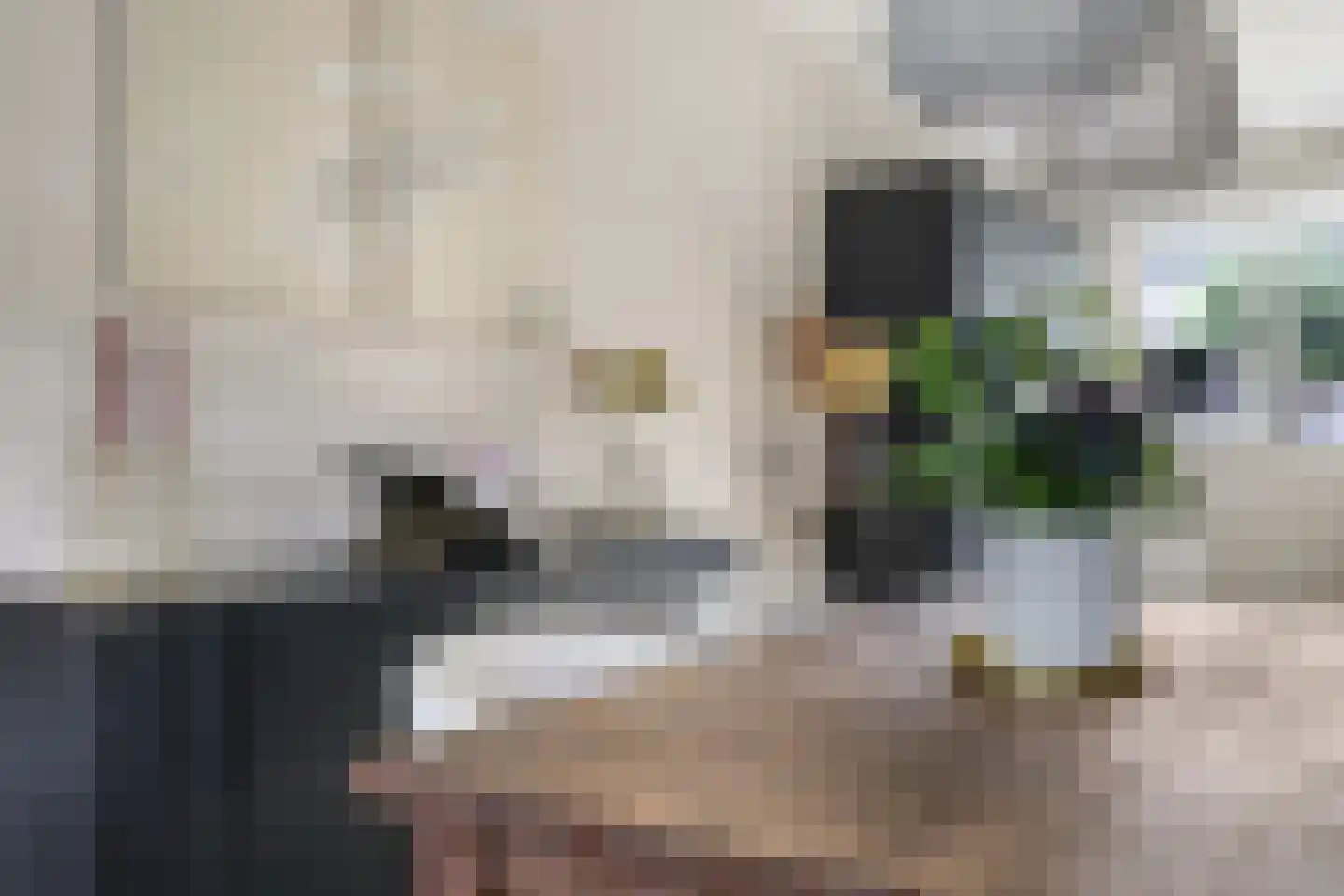 Berenklauw 42 Driel thumbnail 28
