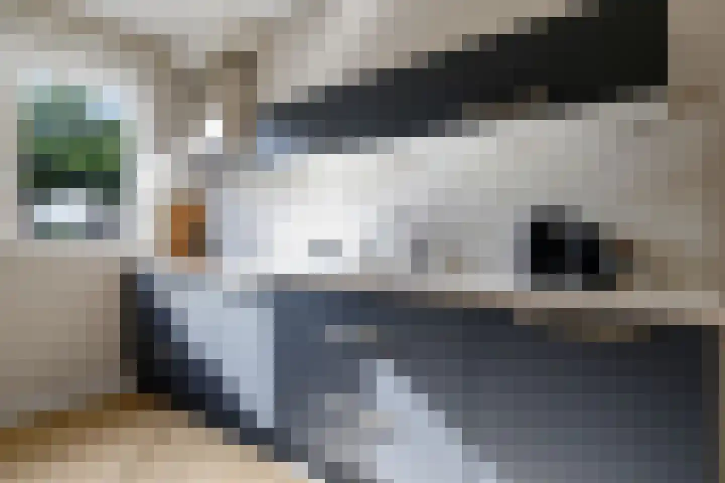 Berenklauw 42 Driel thumbnail 32