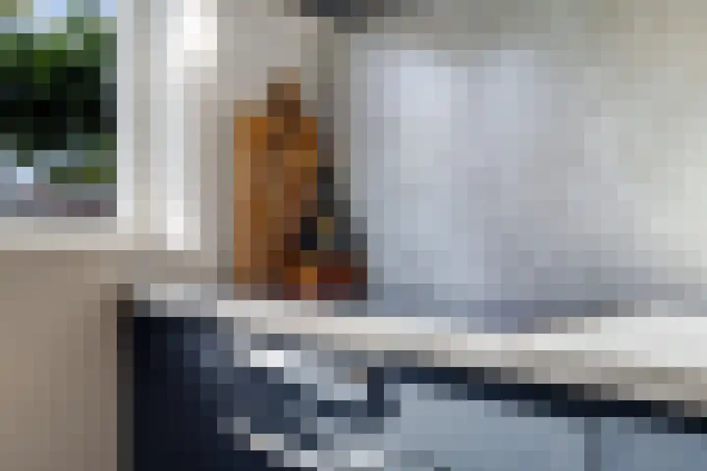 Berenklauw 42 Driel thumbnail 34