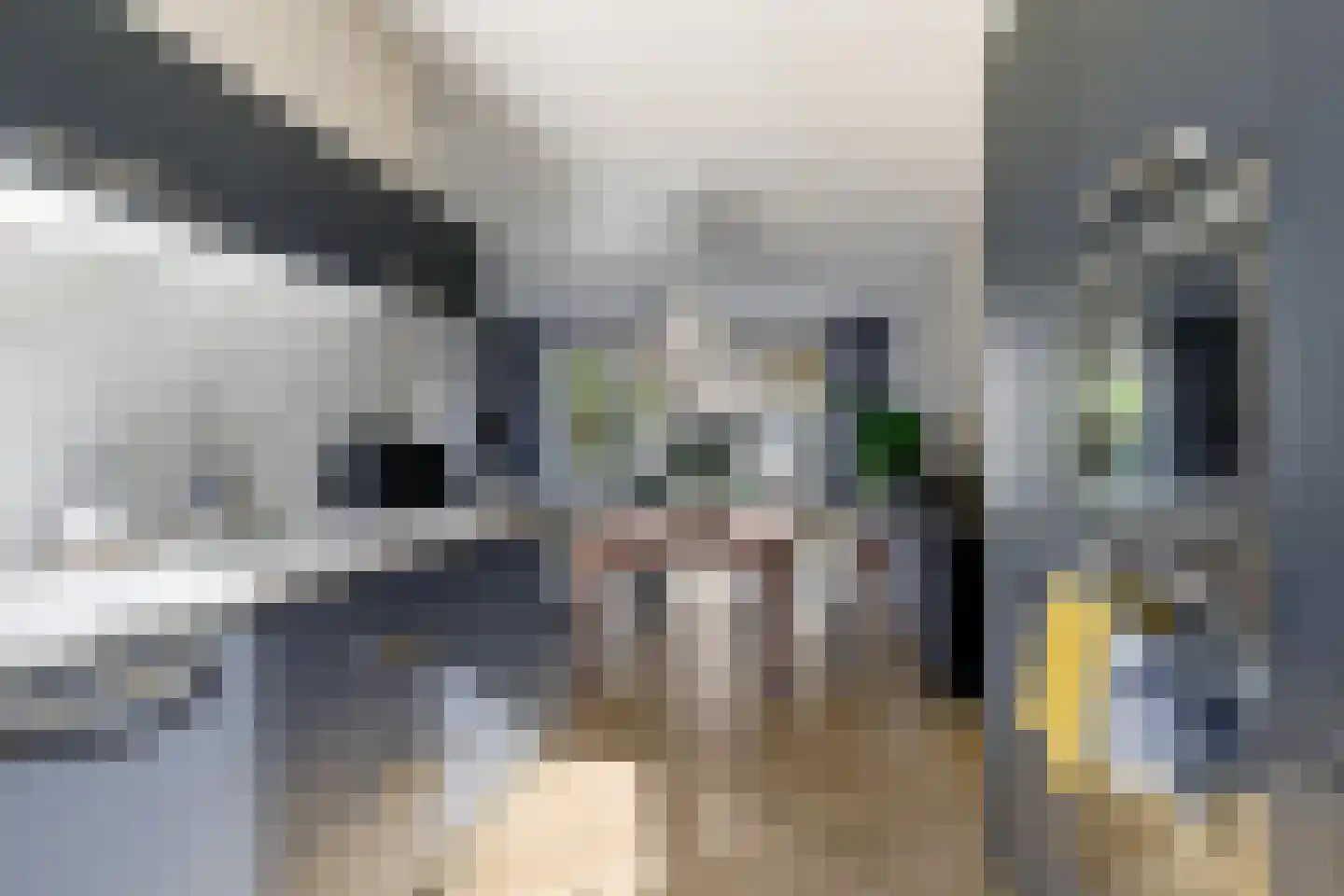 Berenklauw 42 Driel thumbnail 35