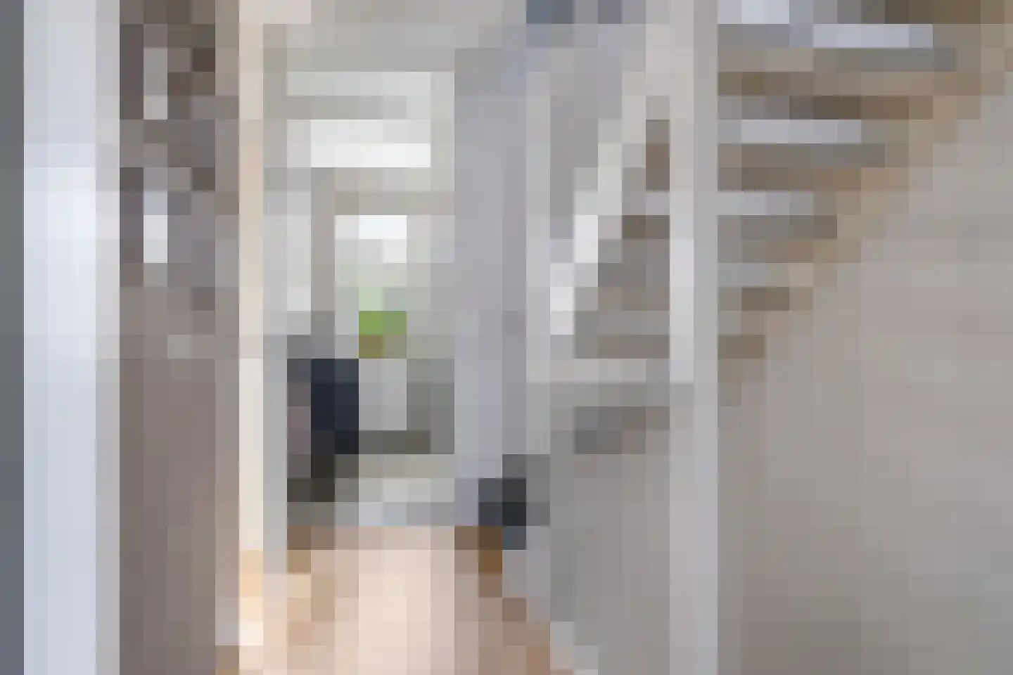 Berenklauw 42 Driel thumbnail 49