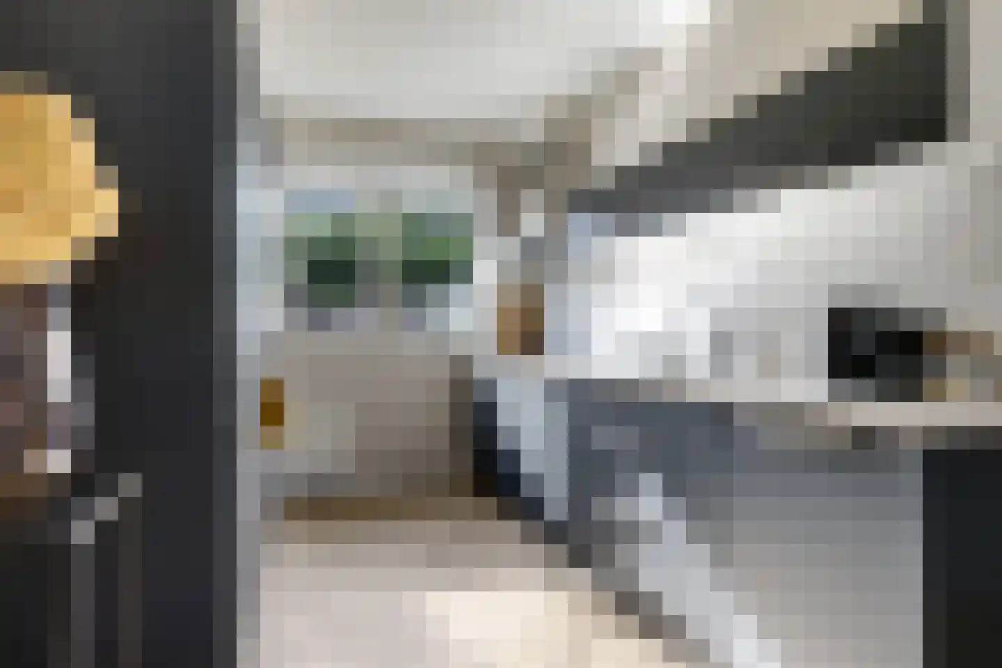 Berenklauw 42 Driel thumbnail 5
