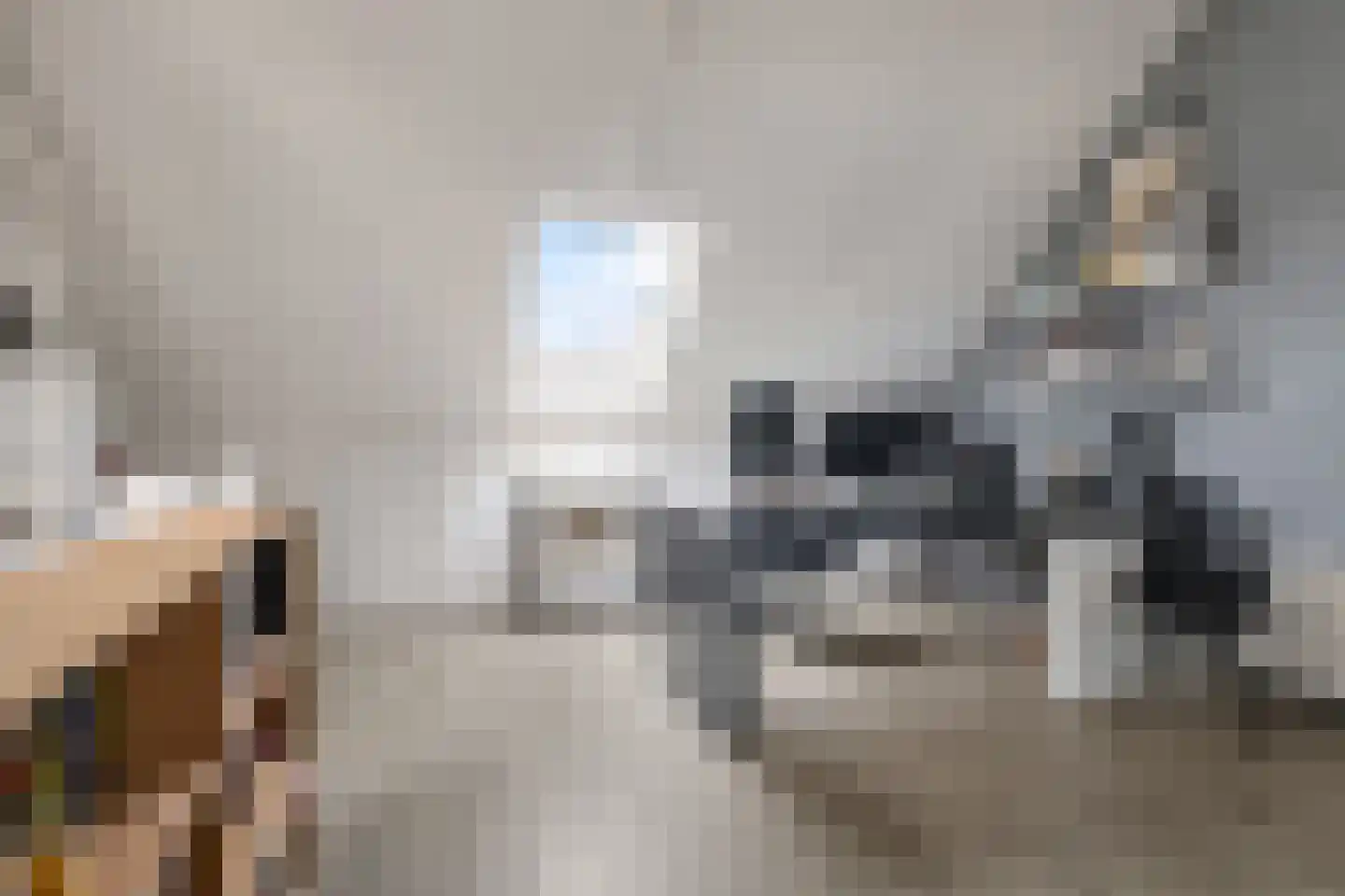 Berenklauw 42 Driel thumbnail 51