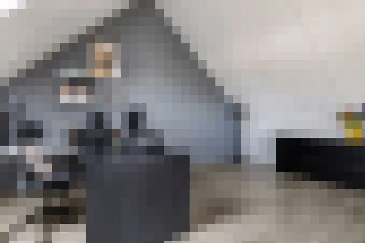 Berenklauw 42 Driel thumbnail 52