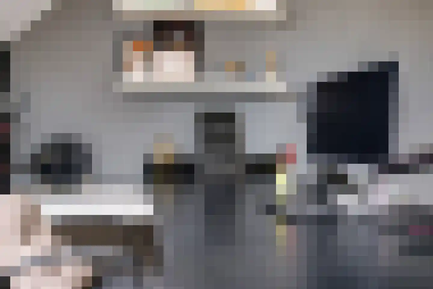 Berenklauw 42 Driel thumbnail 53