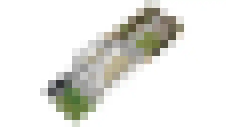 Berenklauw 42 Driel thumbnail 58