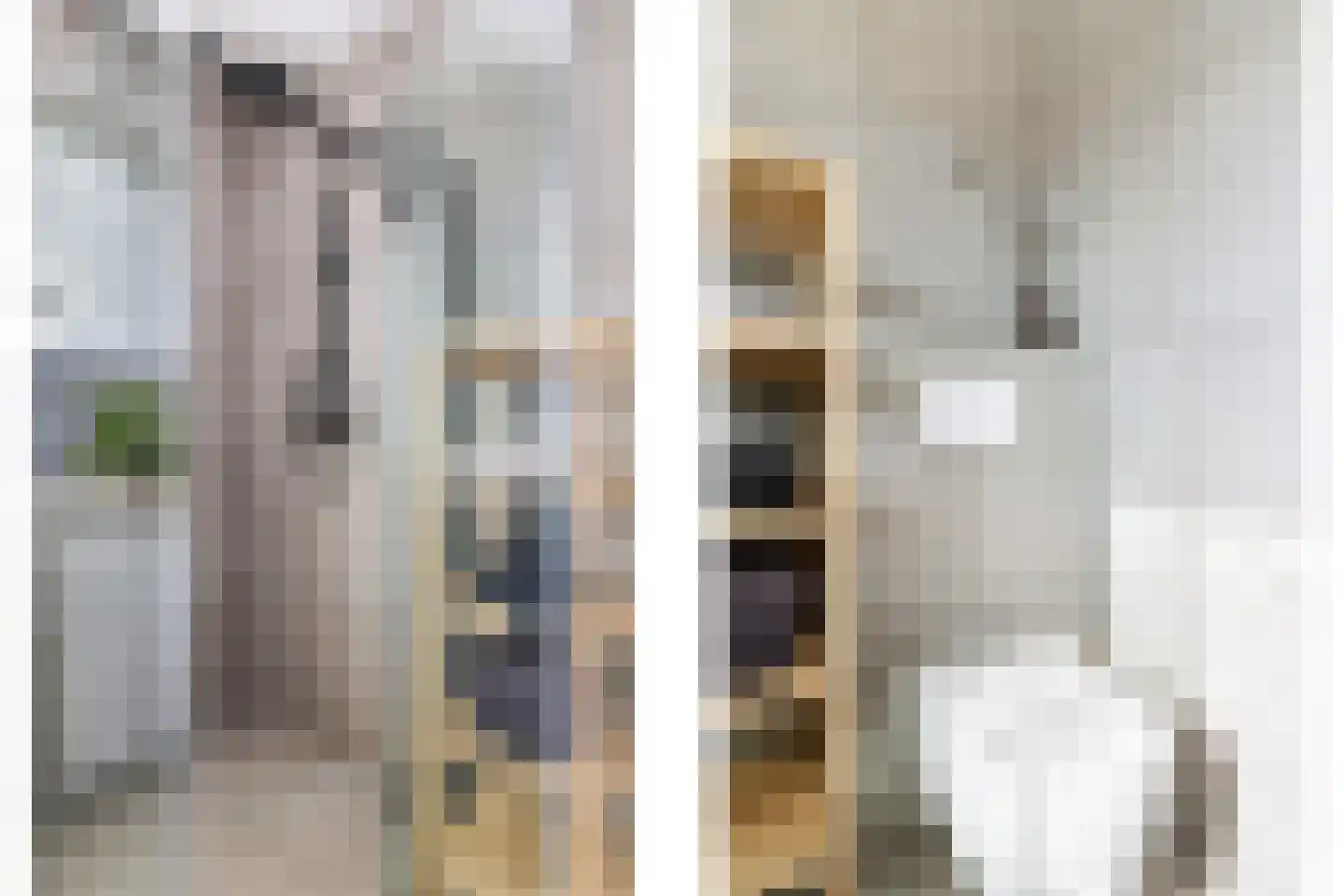 Berenklauw 42 Driel thumbnail 7