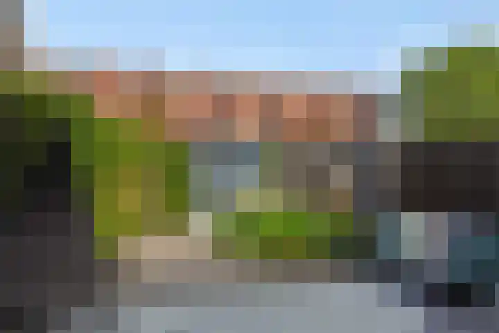 Berenklauw 50 's-Hertogenbosch thumbnail 26