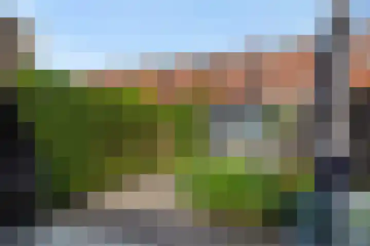 Berenklauw 50 's-Hertogenbosch thumbnail 27