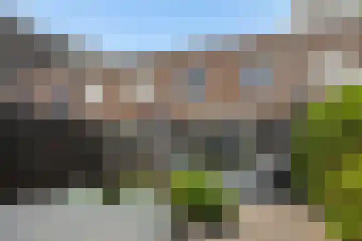 Berenklauw 50 's-Hertogenbosch thumbnail 30