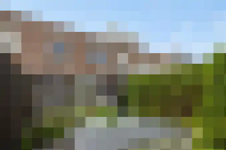 Berenklauw 50 's-Hertogenbosch thumbnail 31