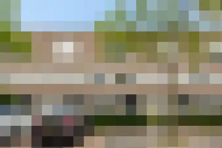 Berenklauw 50 's-Hertogenbosch thumbnail 33