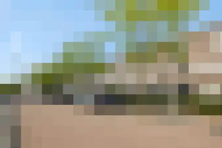 Berenklauw 50 's-Hertogenbosch thumbnail 34