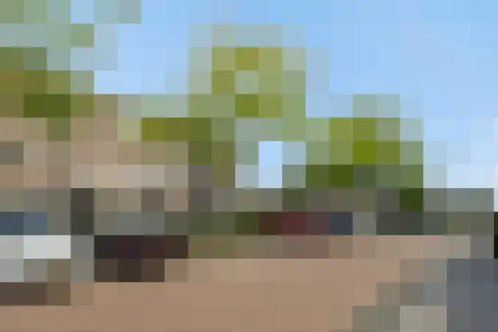 Berenklauw 50 's-Hertogenbosch thumbnail 35