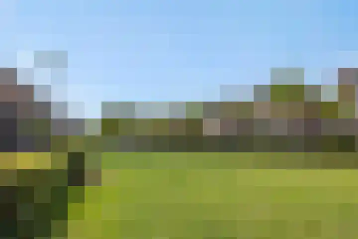 Berenklauw 50 's-Hertogenbosch thumbnail 37