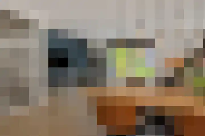 Berenklauw 50 's-Hertogenbosch thumbnail 8