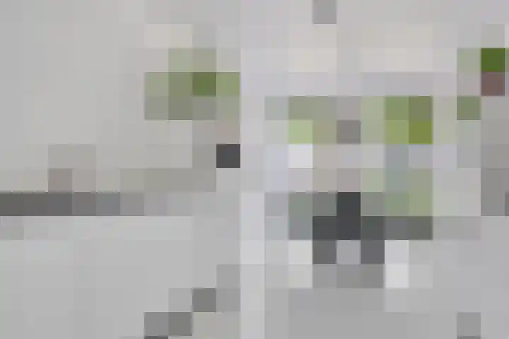 Berenklauw 51 's-Hertogenbosch thumbnail 12