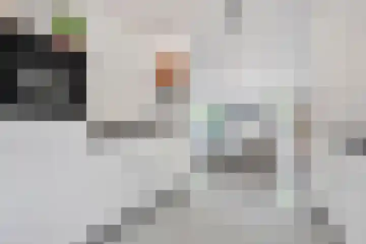 Berenklauw 51 's-Hertogenbosch thumbnail 13
