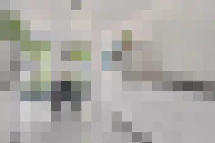 Berenklauw 51 's-Hertogenbosch thumbnail 14