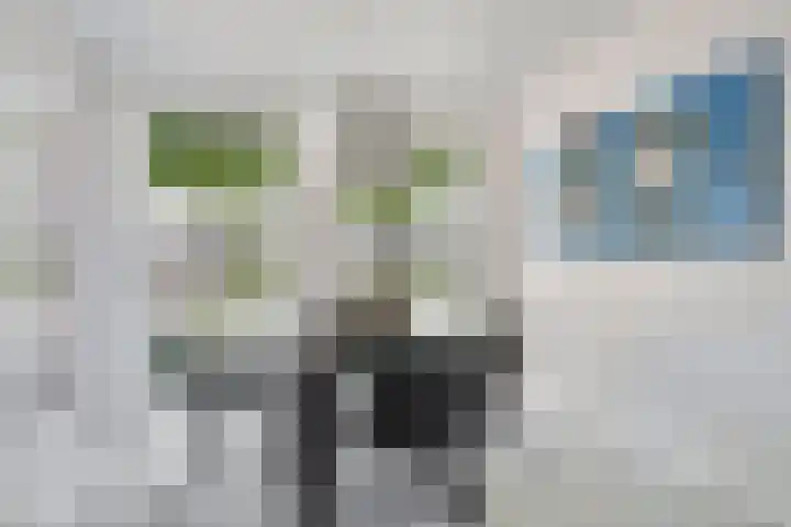 Berenklauw 51 's-Hertogenbosch thumbnail 15