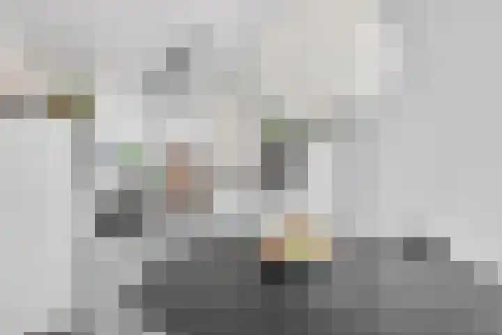 Berenklauw 51 's-Hertogenbosch thumbnail 16