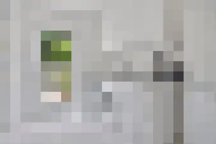 Berenklauw 51 's-Hertogenbosch thumbnail 17