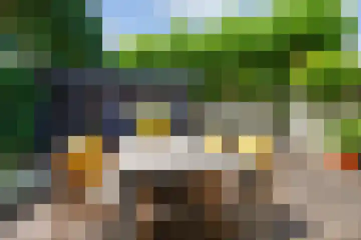 Berenklauw 51 's-Hertogenbosch thumbnail 20