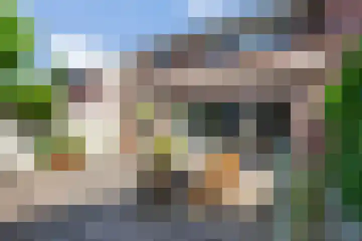 Berenklauw 51 's-Hertogenbosch thumbnail 21