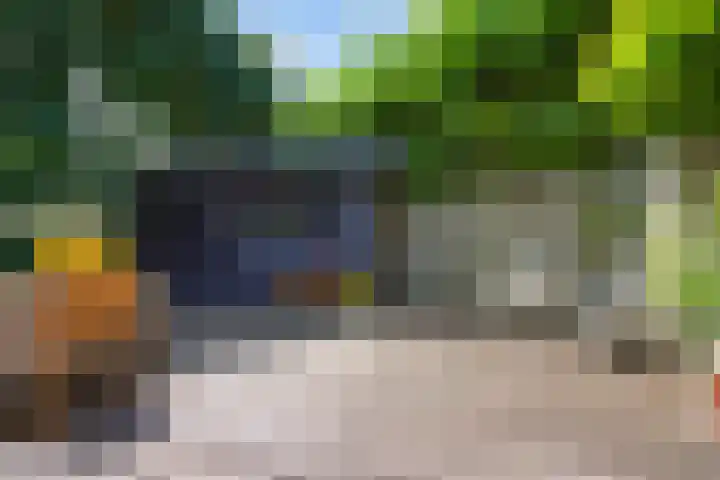 Berenklauw 51 's-Hertogenbosch thumbnail 22
