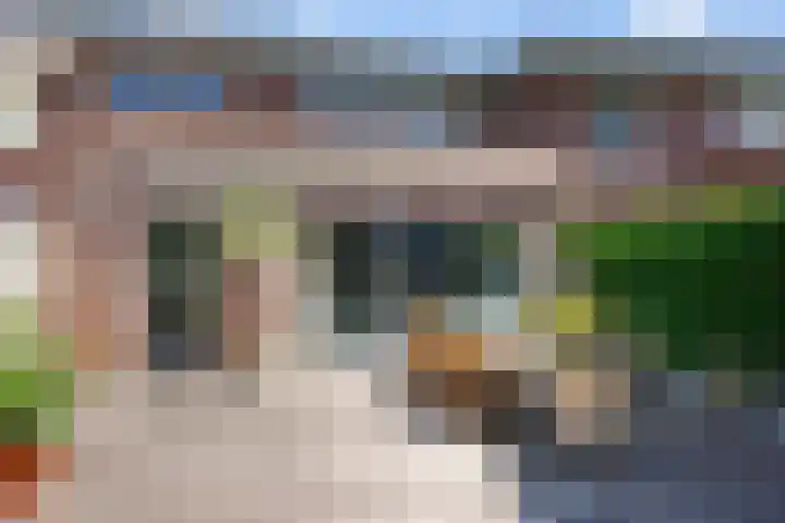 Berenklauw 51 's-Hertogenbosch thumbnail 23