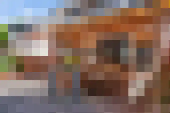 Berenklauw 51 's-Hertogenbosch thumbnail 24