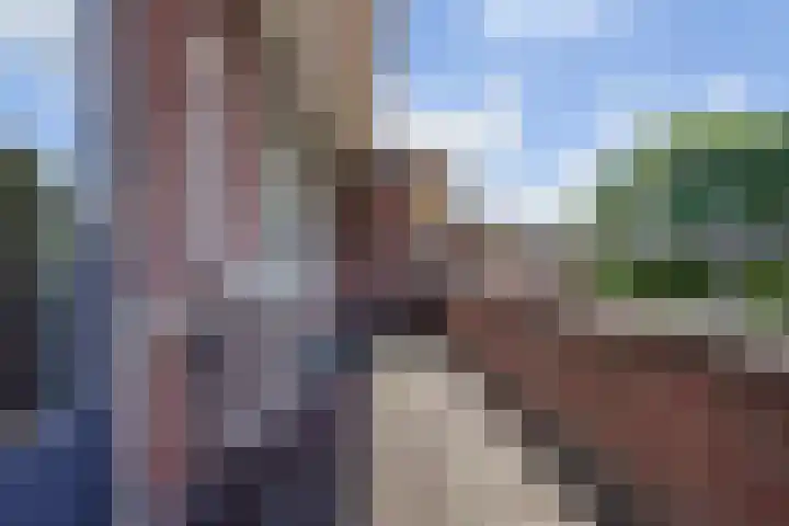 Berenklauw 51 's-Hertogenbosch thumbnail 32