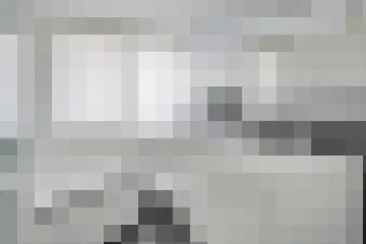 Berenklauw 51 's-Hertogenbosch thumbnail 39