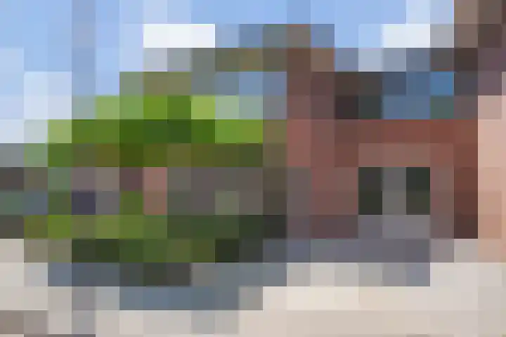 Berenklauw 51 's-Hertogenbosch thumbnail 43