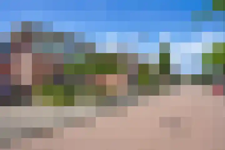 Berenklauw 51 's-Hertogenbosch thumbnail 44