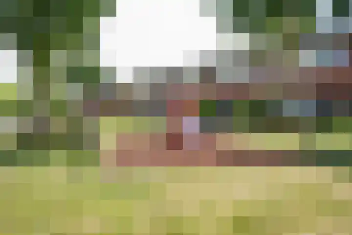 Berenklauw 51 's-Hertogenbosch thumbnail 45