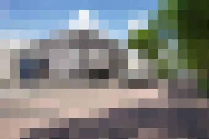 Berenklauw 51 's-Hertogenbosch thumbnail 46