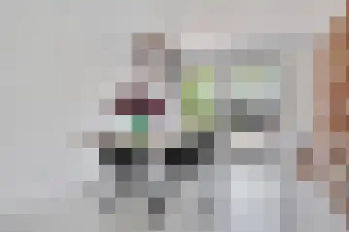 Berenklauw 51 's-Hertogenbosch thumbnail 8