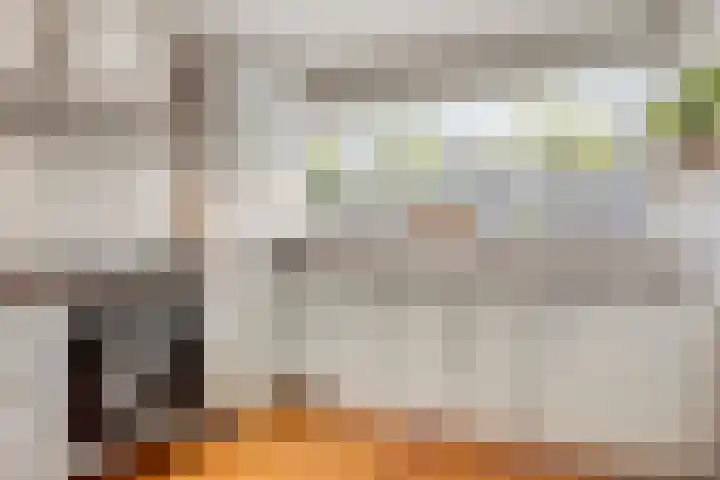 Berenklauw 77 's-Hertogenbosch thumbnail 10