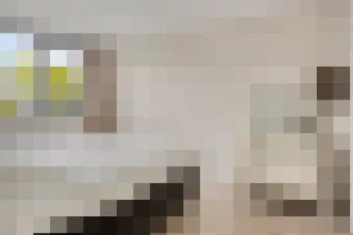 Berenklauw 77 's-Hertogenbosch thumbnail 12