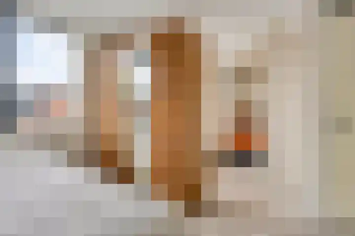 Berenklauw 77 's-Hertogenbosch thumbnail 15