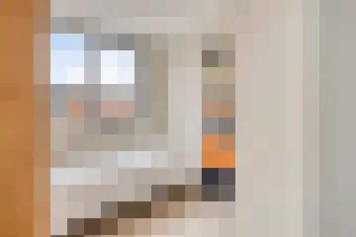 Berenklauw 77 's-Hertogenbosch thumbnail 16