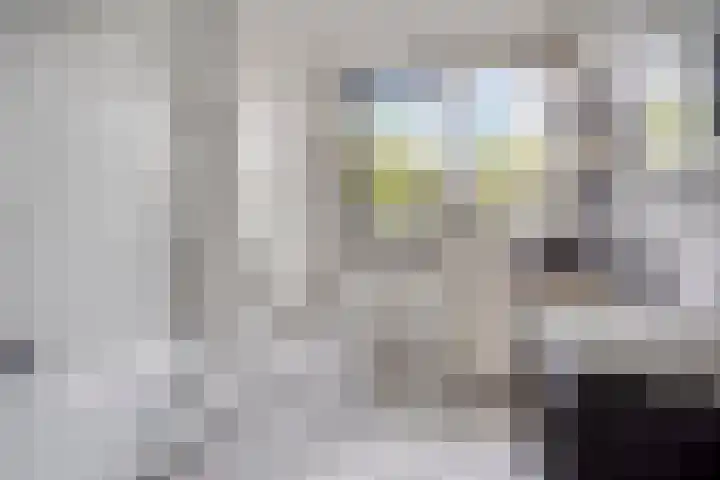 Berenklauw 77 's-Hertogenbosch thumbnail 17